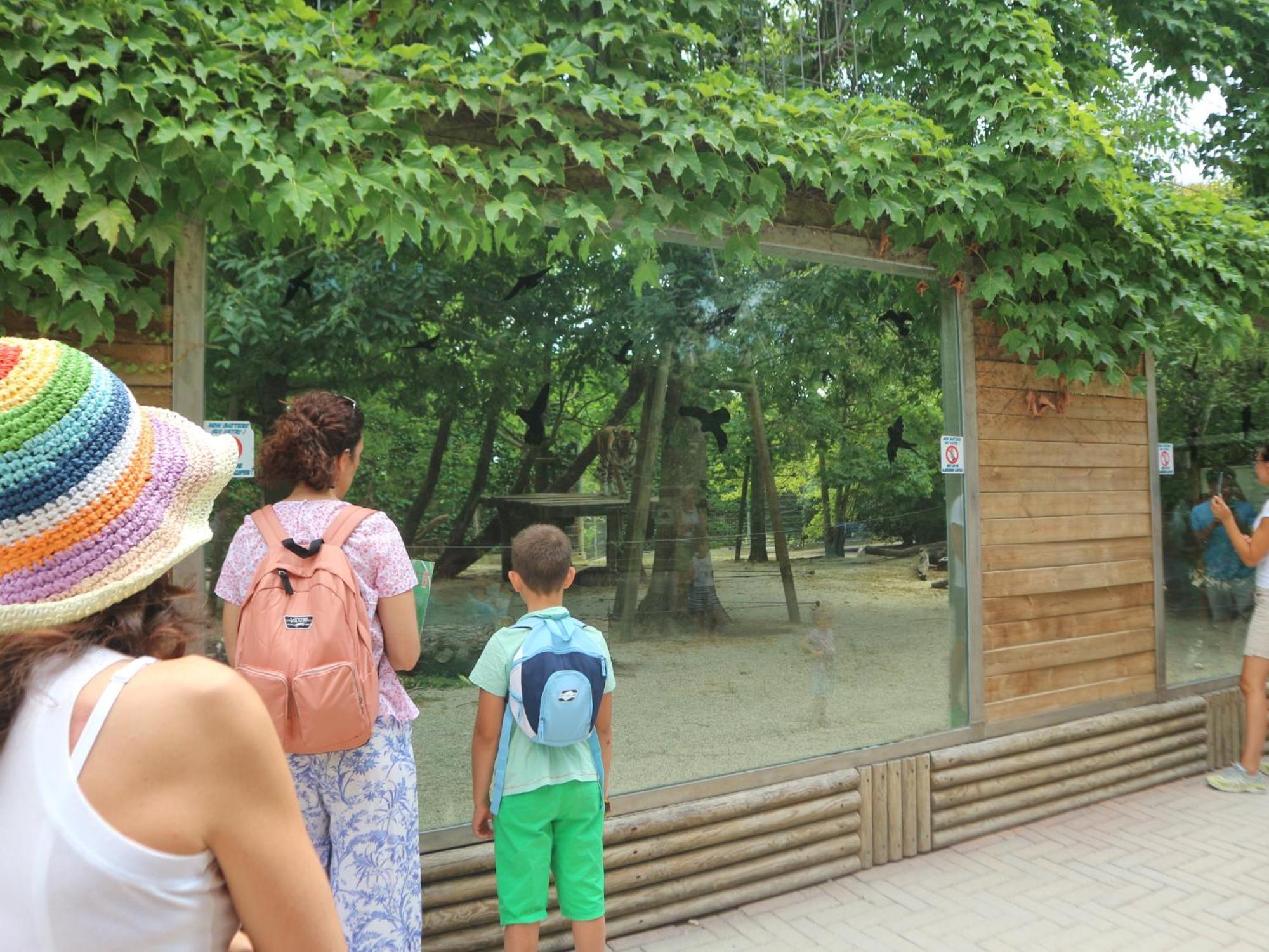 리그나노 사비아도로 Viviana 아파트 외부 사진